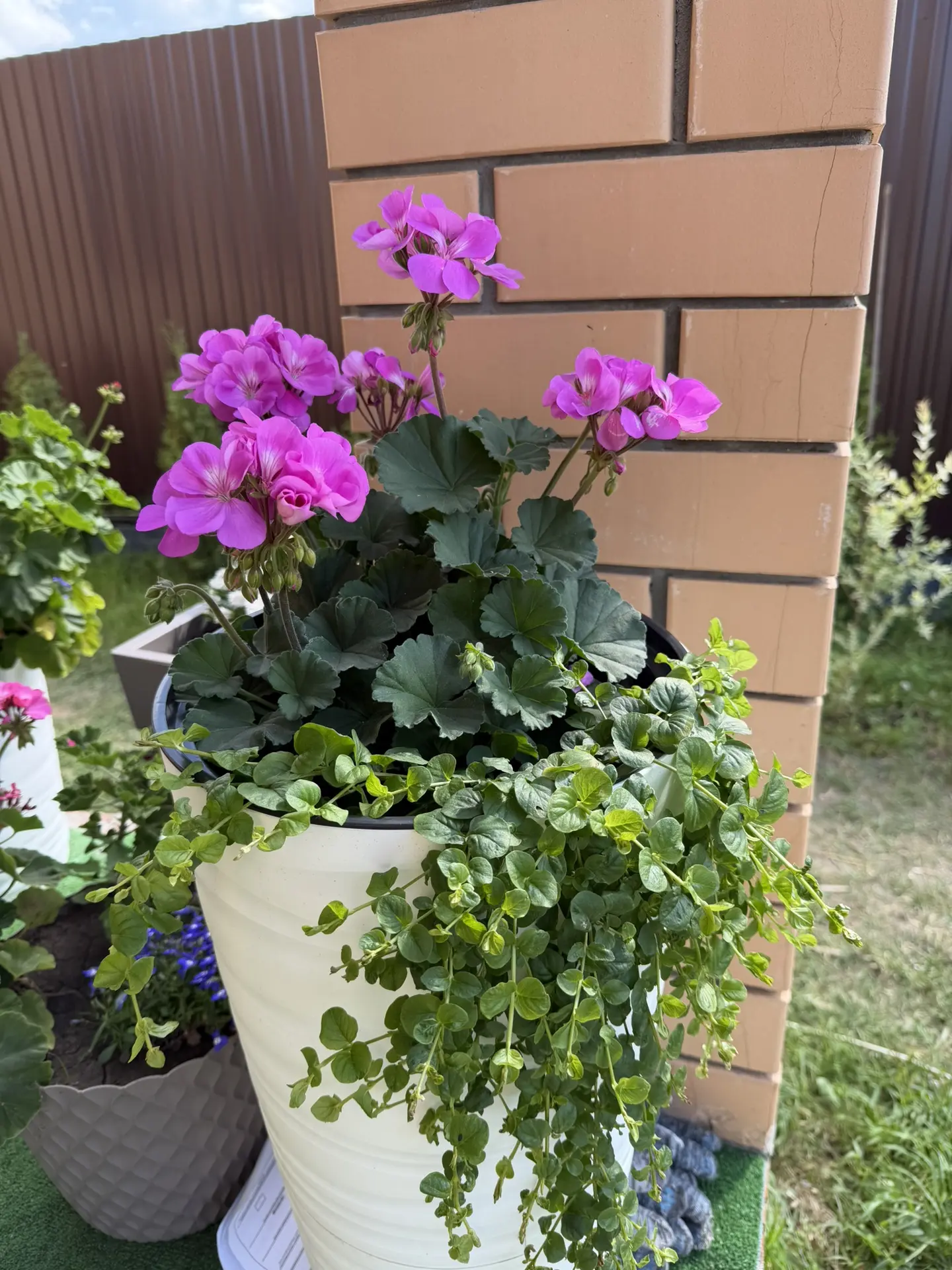 Приветик мои прекрасные 🌸
Пока все говорят про горючее 😁 
У нас с ним кстати тоже самое 

Я к вам 