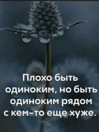 Общество внушает нам, что одиночество — это страшный диагноз, от которого нужно срочно спасаться. Мы