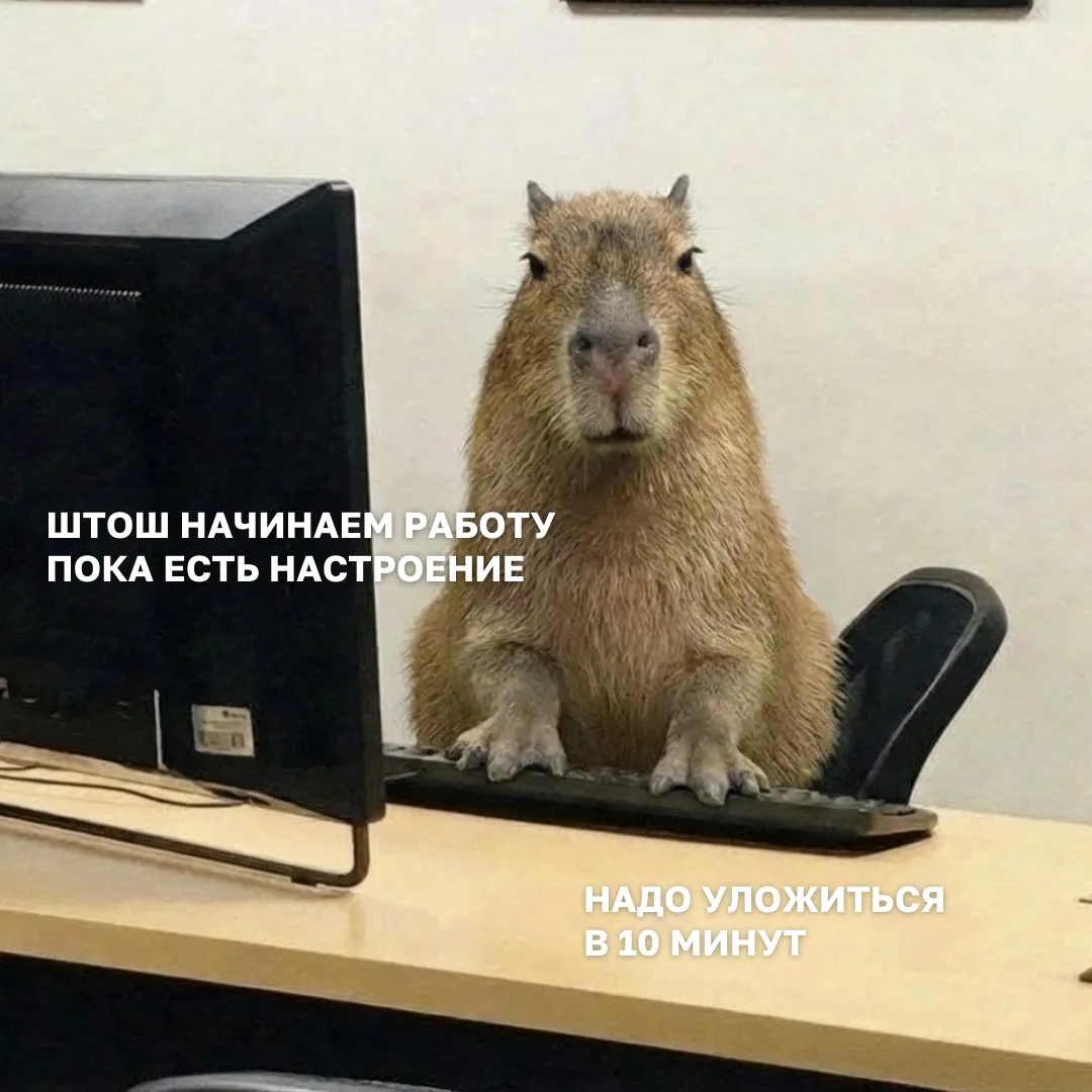 Как ваше настроение, друзья?   Оставляйте реакцию! 🤪 – дайте паузу  😎 – в полном дзене  ❤️ – только 