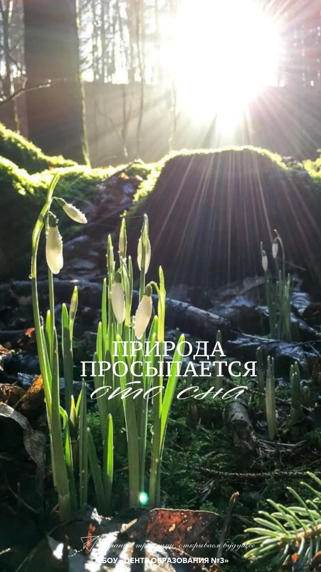 🌸 Весна пришла — пора меняться! Первый мартовский день — отличный повод начать что-то новое. Больше 