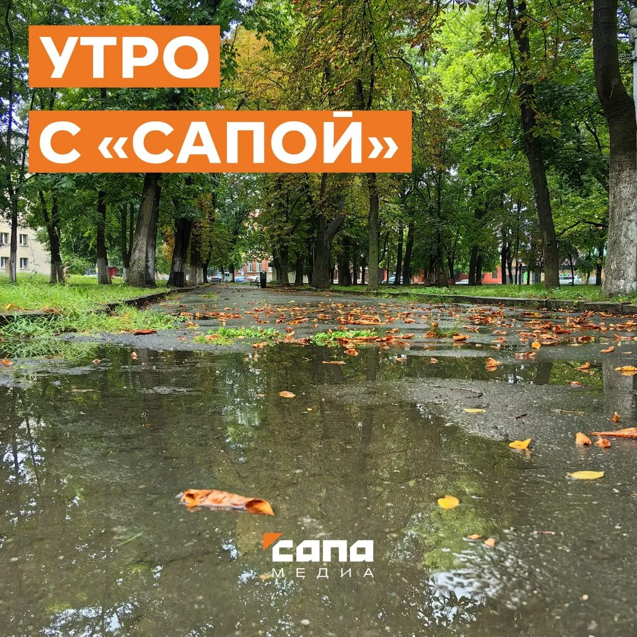 Информация, которая может тебе пригодиться: