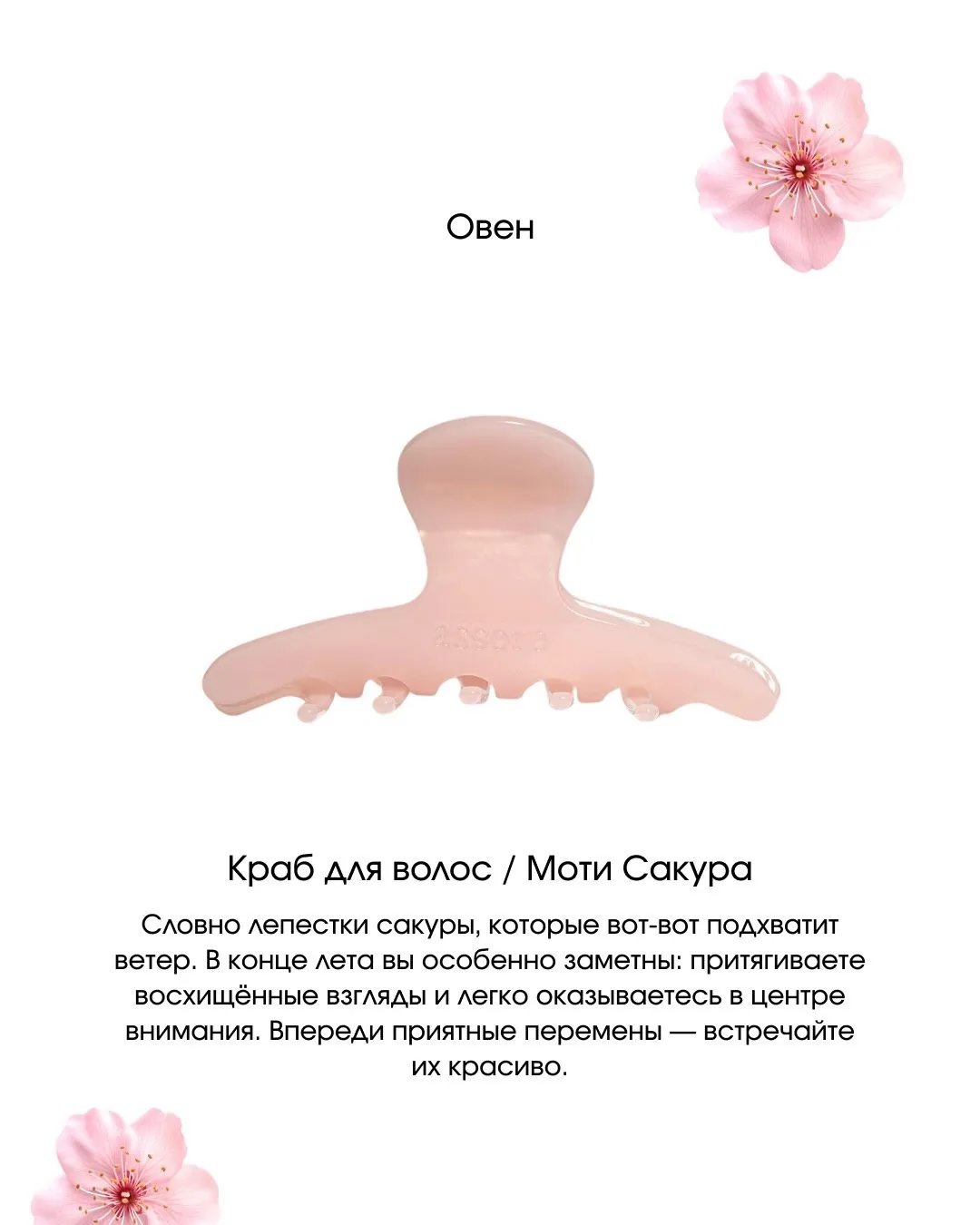 Конец лета с assoro.ru — время замедлиться, поймать последние тёплые дни и добавить в о...