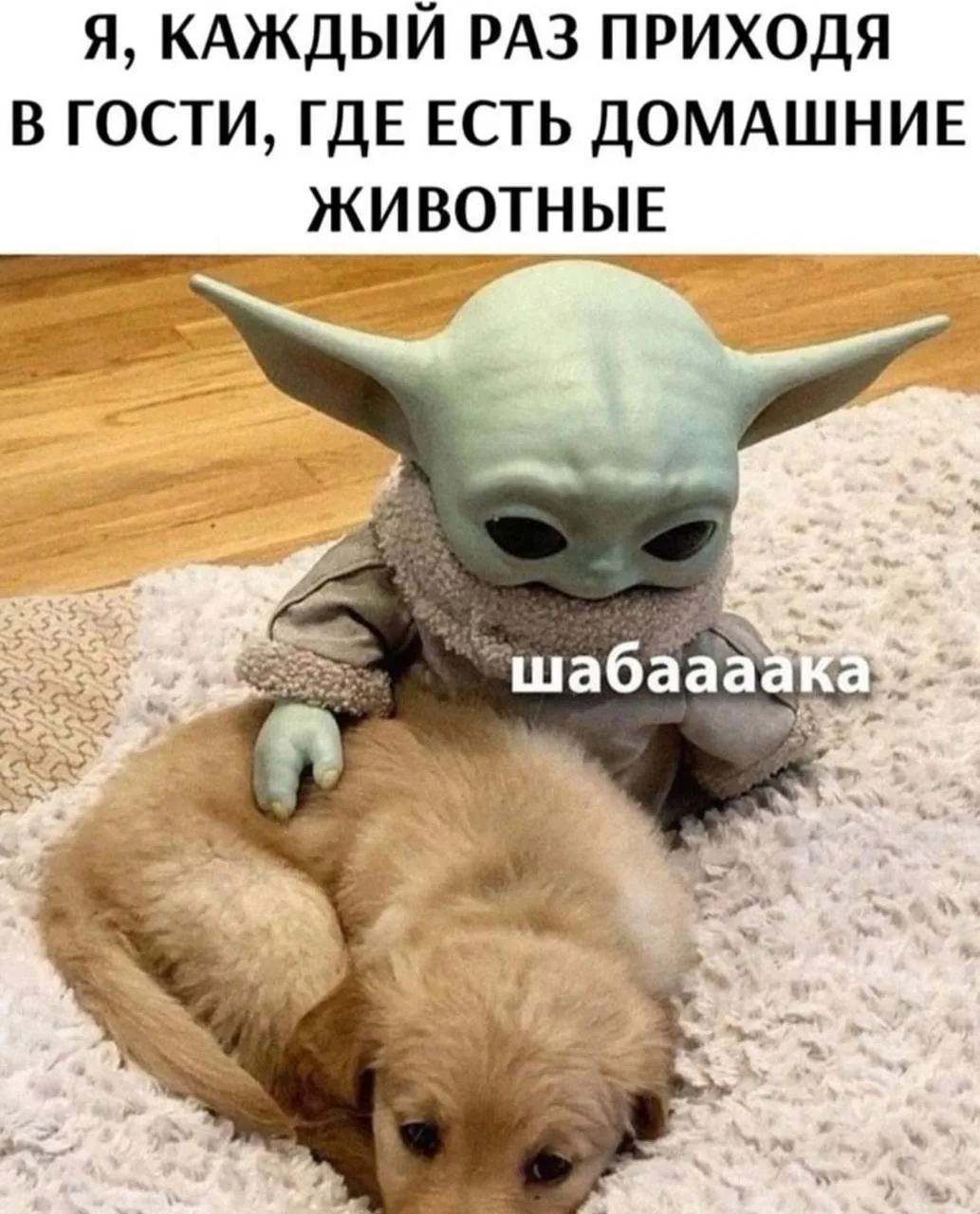 Наш телеграм: https://t.me/votetoprikol90