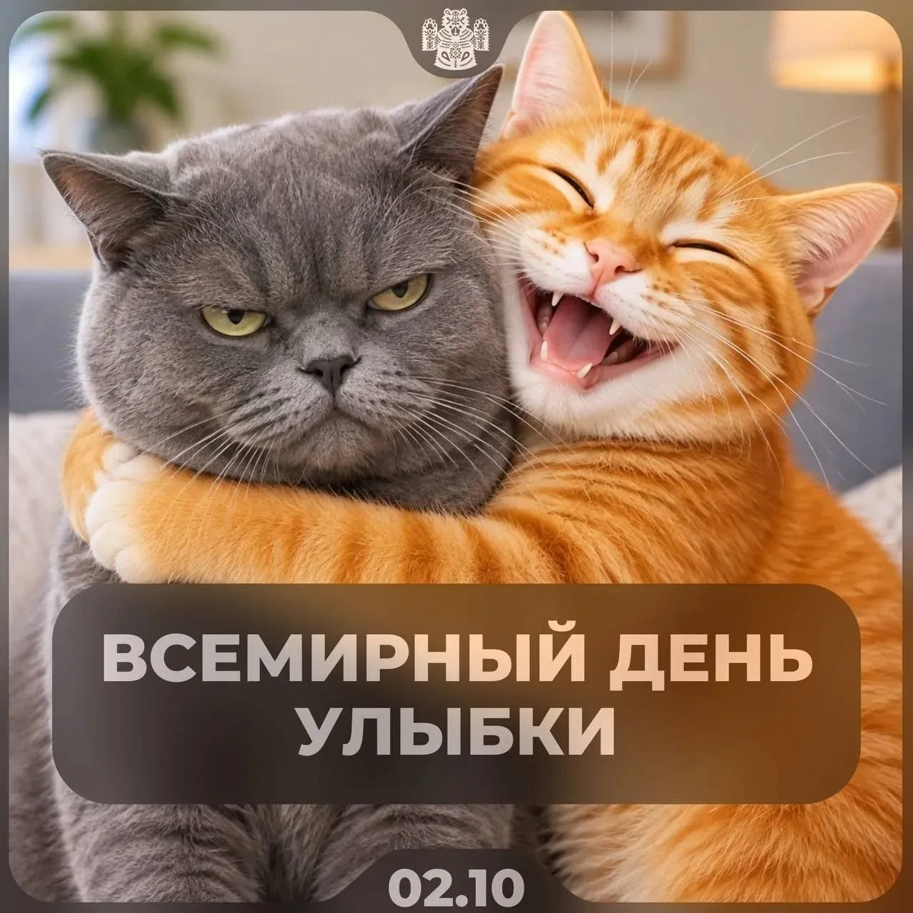 Открытки дня❤️