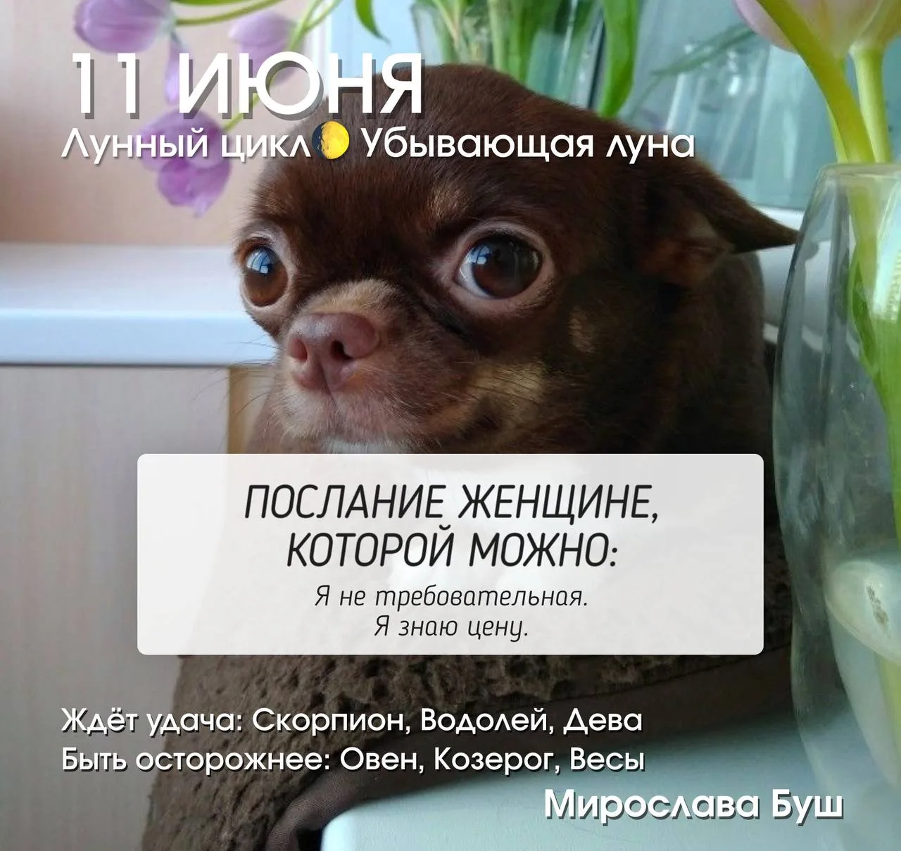 11 июня РЕКОМЕНДАЦИИ 🔥

Убывающая Луна, освещённость около 15–20%. До новолуния остаётся всего неск