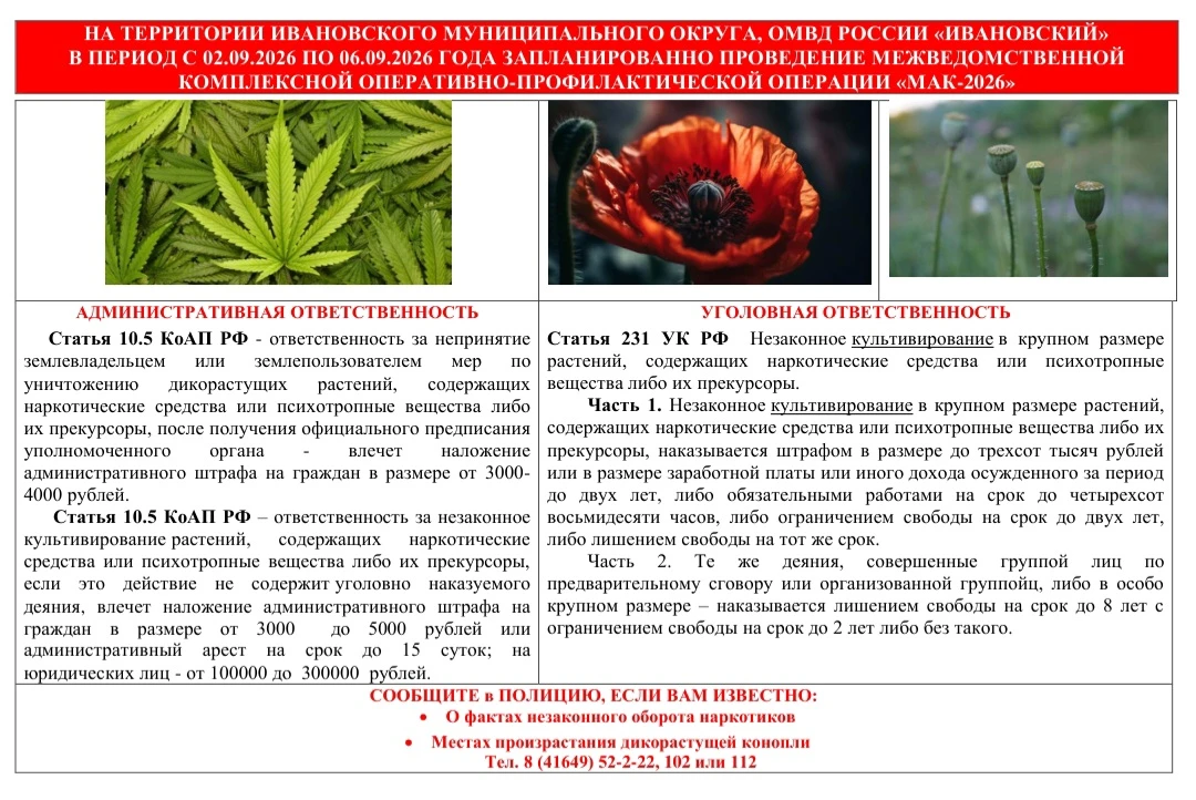 🚨 С 02 по 06 сентября 2026 года на территории округа проводится второй этап региональн...