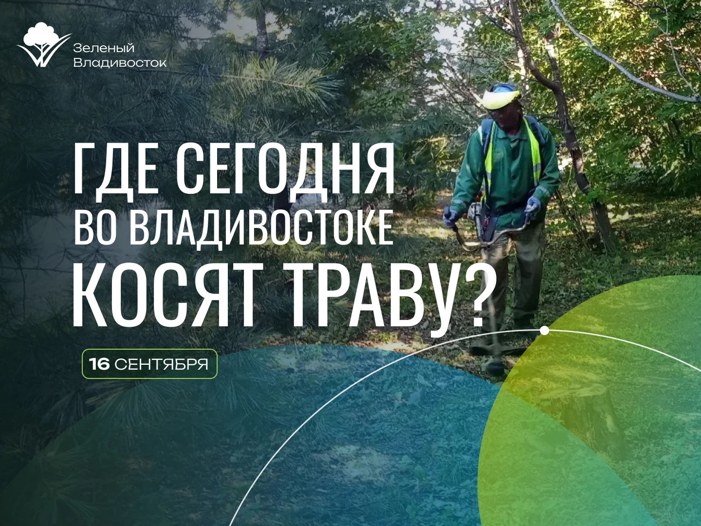 ✅Наши бригады совместно с подрядными организациями выкашивают, сгребают и вывозят траву...