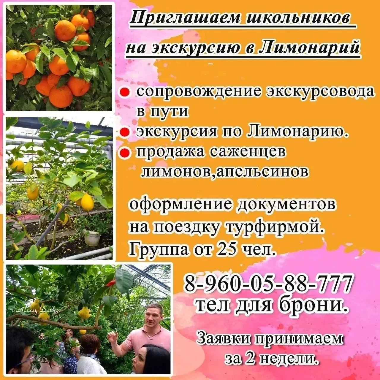 ✅Для школьников ,на каникулы посещение🍋🍊 Лимонария (Наб Челны) ,      свободные даты ...