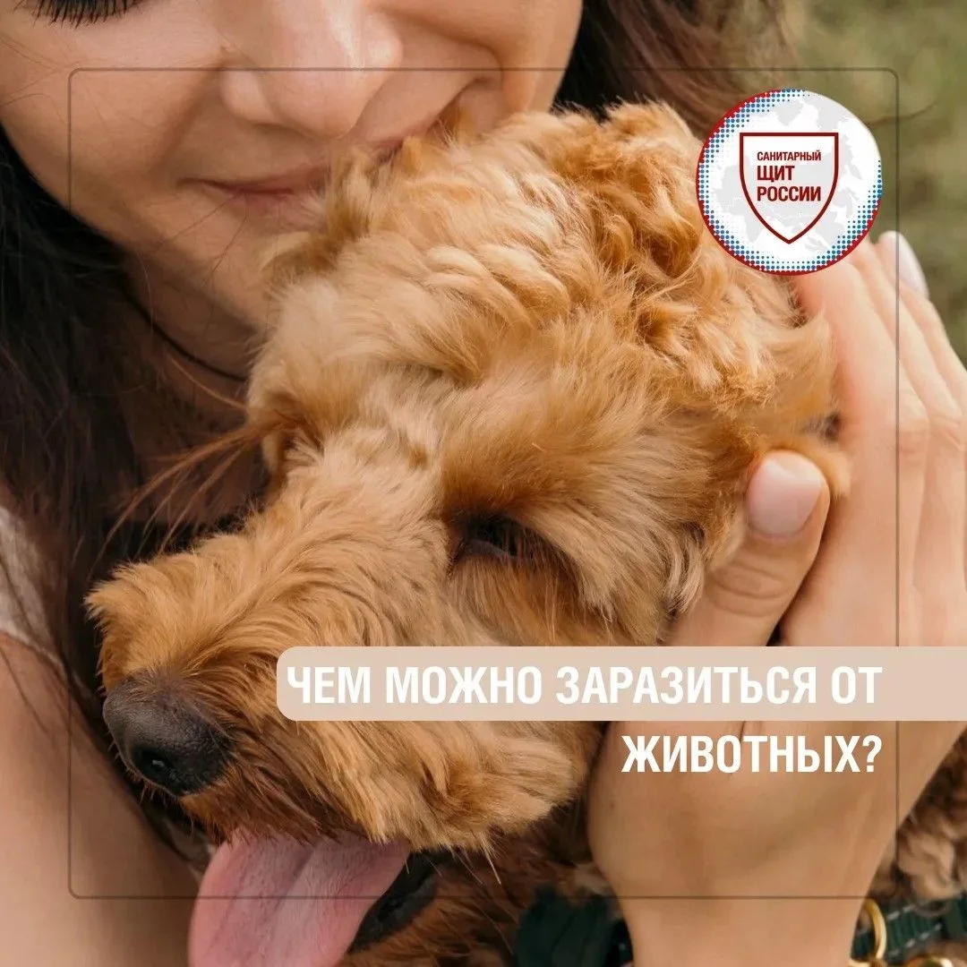 Животные 🐱 могут быть источником инфекций, которые передаются человеку. Такие заболева...