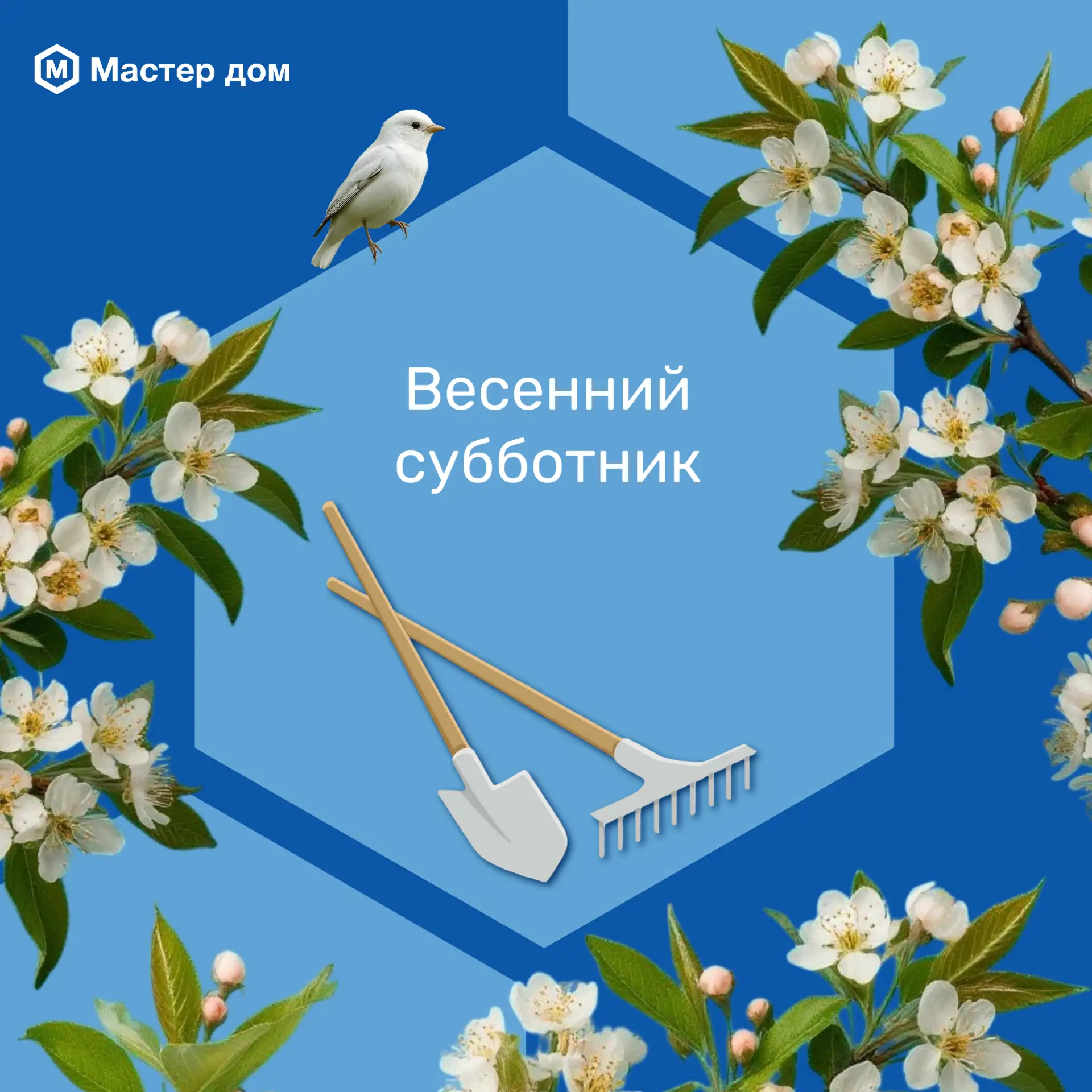 🌱 На придомовой территории почти растаял последний снег, и весна постепенно вступила в свои права.
