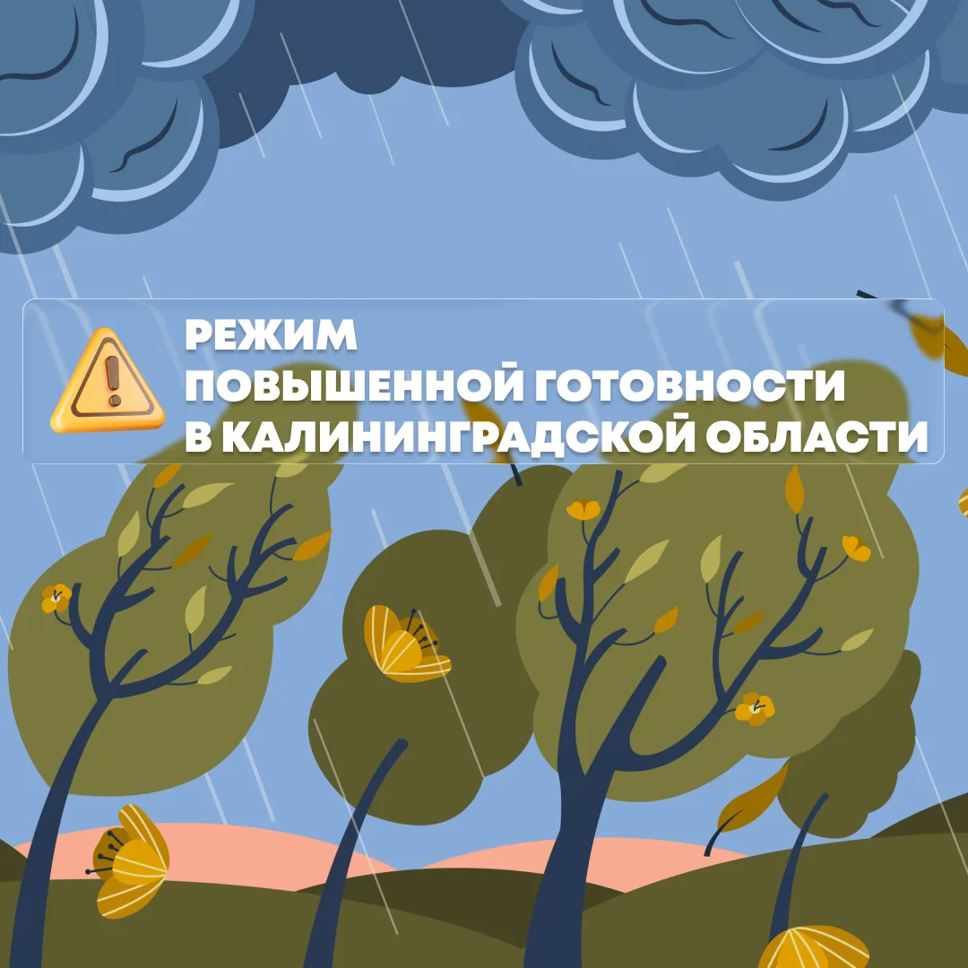 Ночью 8 июля в Калининградской области ожидается усиление ветра до 34 м/с, волн на побе...