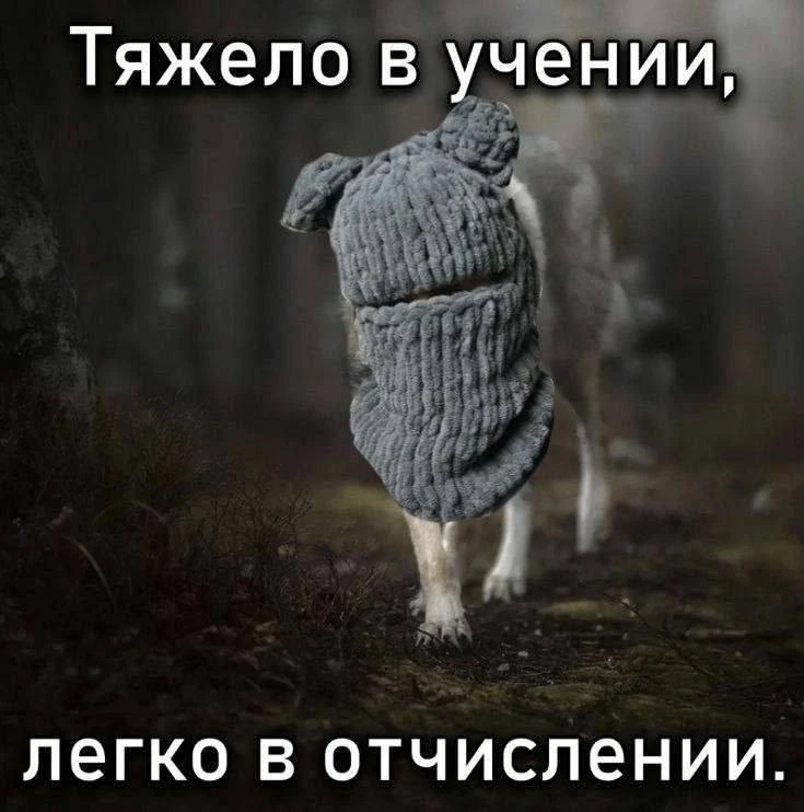 Подборка контента ШГШ за неделю! 🔥Делись своим контентом и мы добавим на следующую нед...