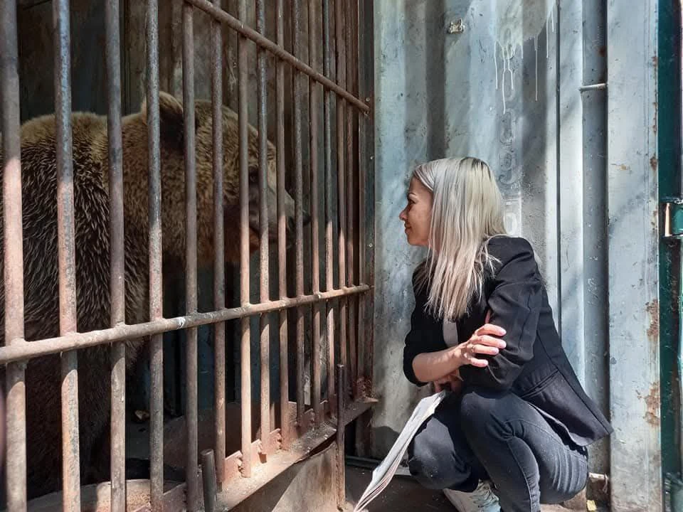 🥺 Можно ли скучать по медведю? 😍Можно и очень сильно...