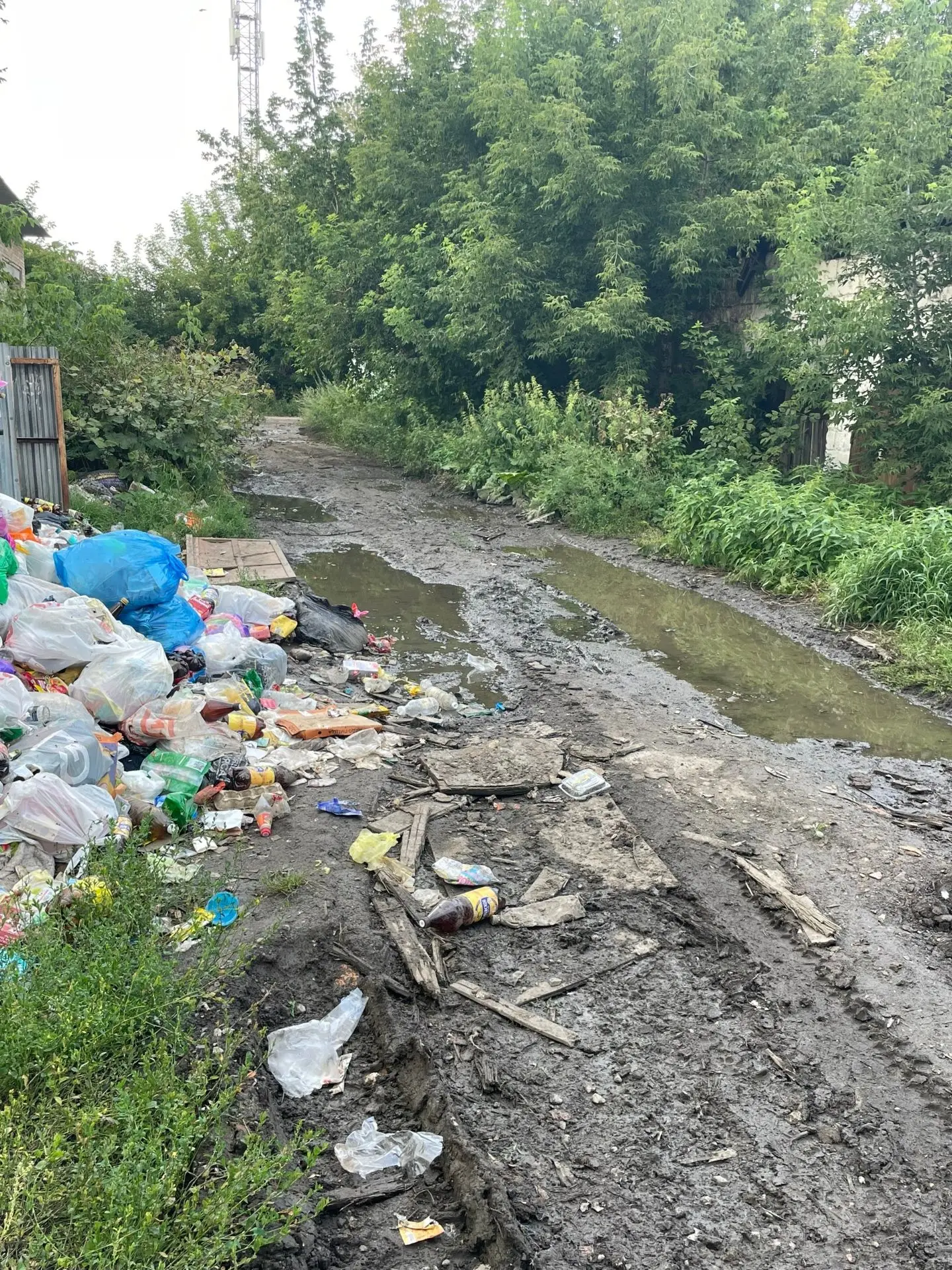 ✉️От подписчика: