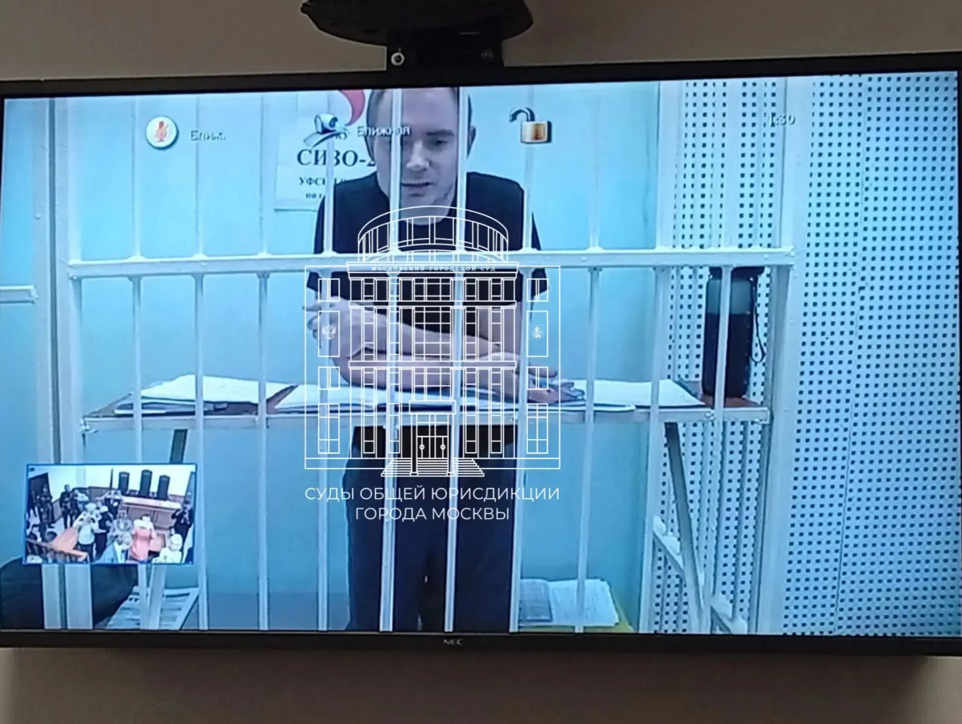 Мосгорсуд признал законным приговор уполномоченному региональным отделением в городе Мо...