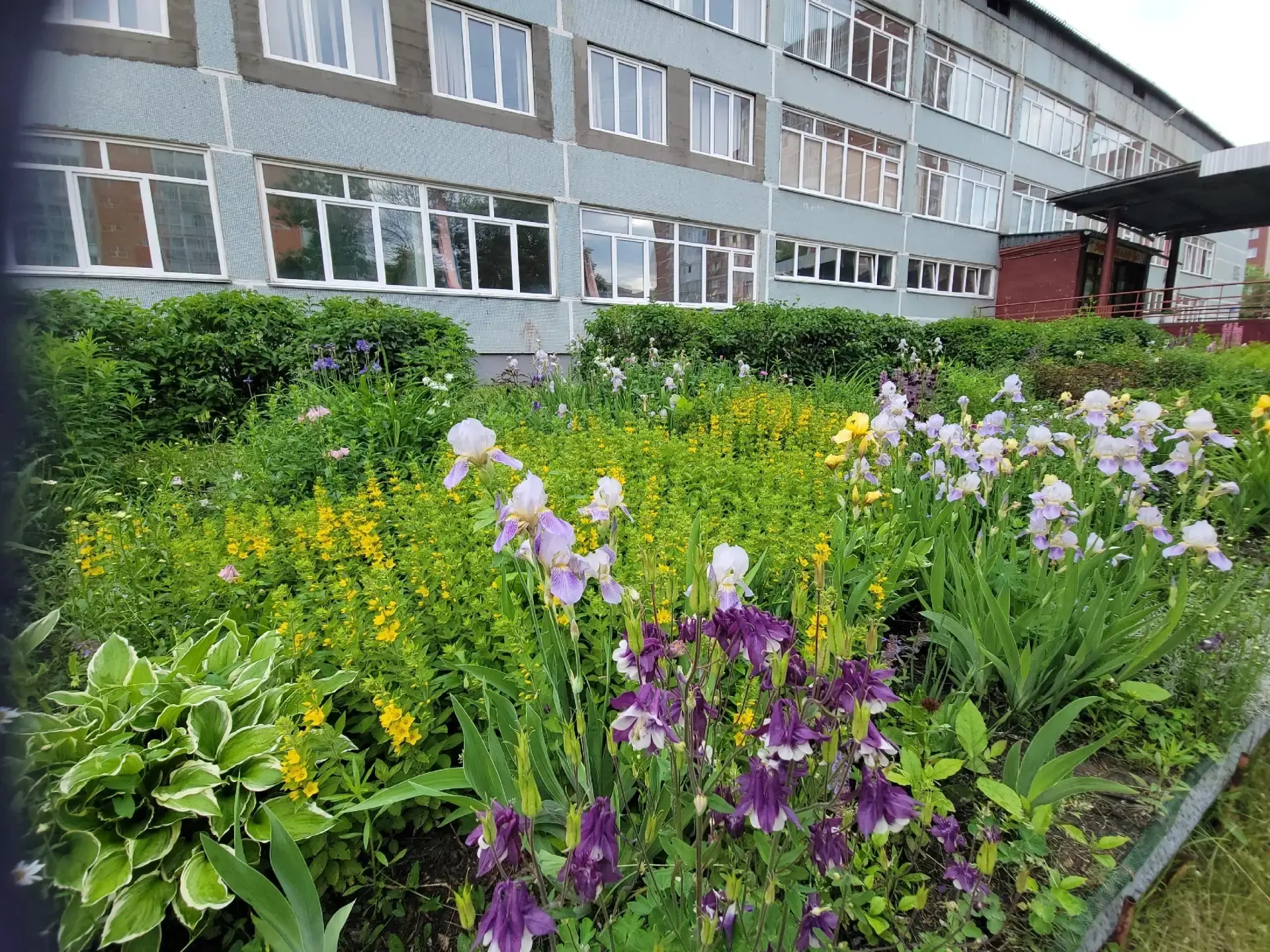 Сегодня школьники вместе с педагогами трудятся на пришкольном участке. Особое внимание уделяется под