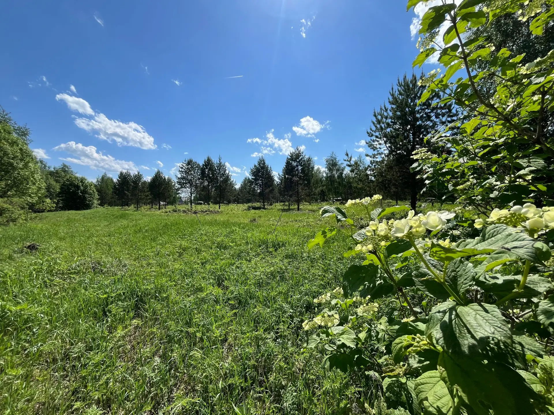 Продаётся земельный участок!

📍 Адрес: село Крылово, ул. Советская, 27.
Площадь 5000 кв.м 
Кадастро