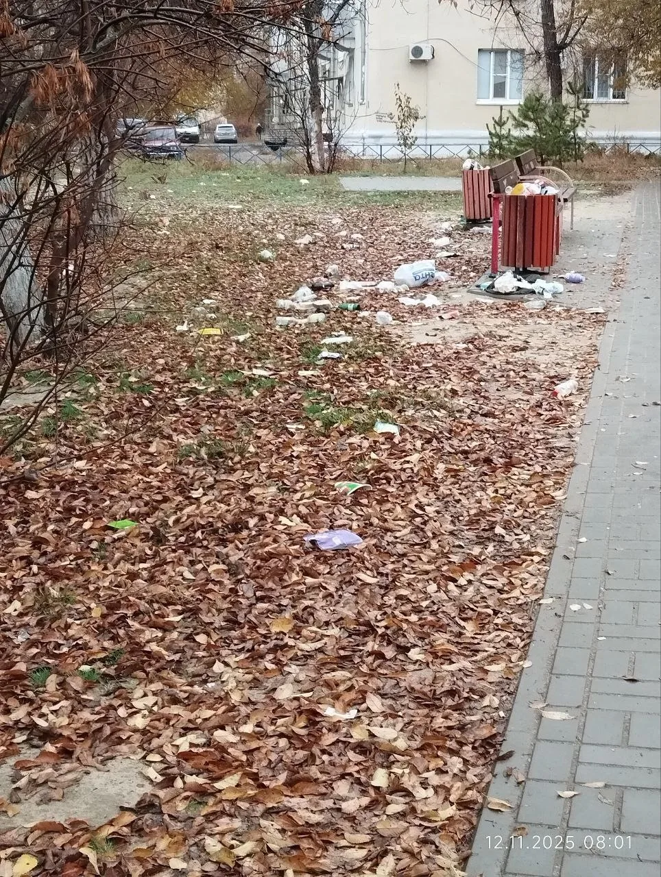 Каждое утро ходим в школу через помойку во дворах. Рыкачева 3 и 5.