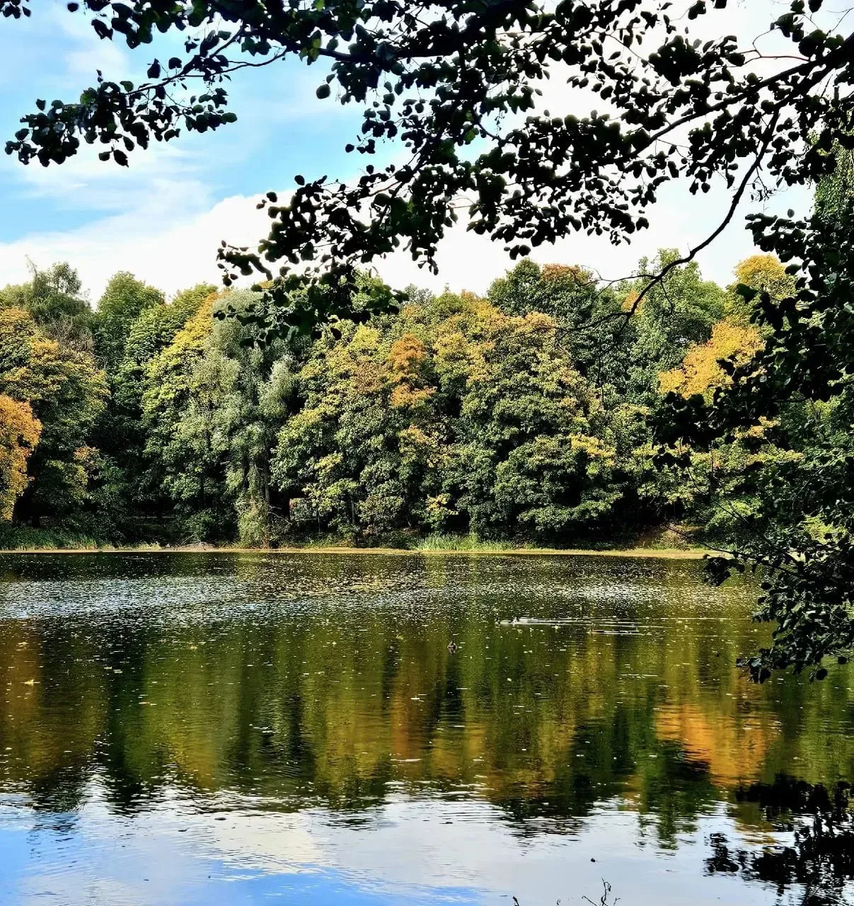 ❤️ Золотая осень в усадьбе Быково