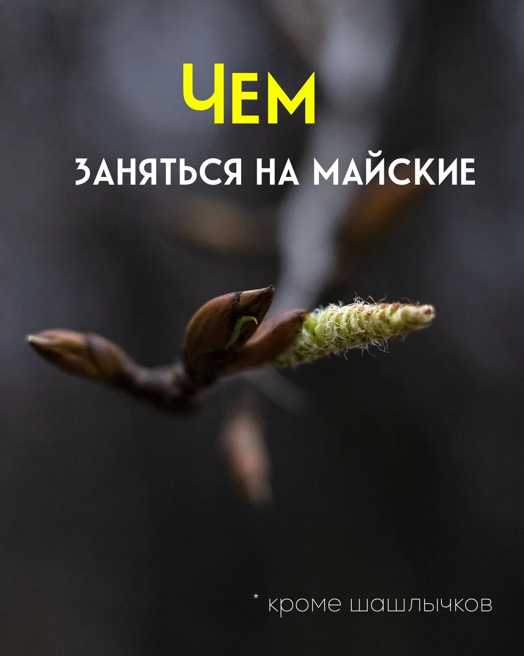 Лови готовый план на выходные ✅