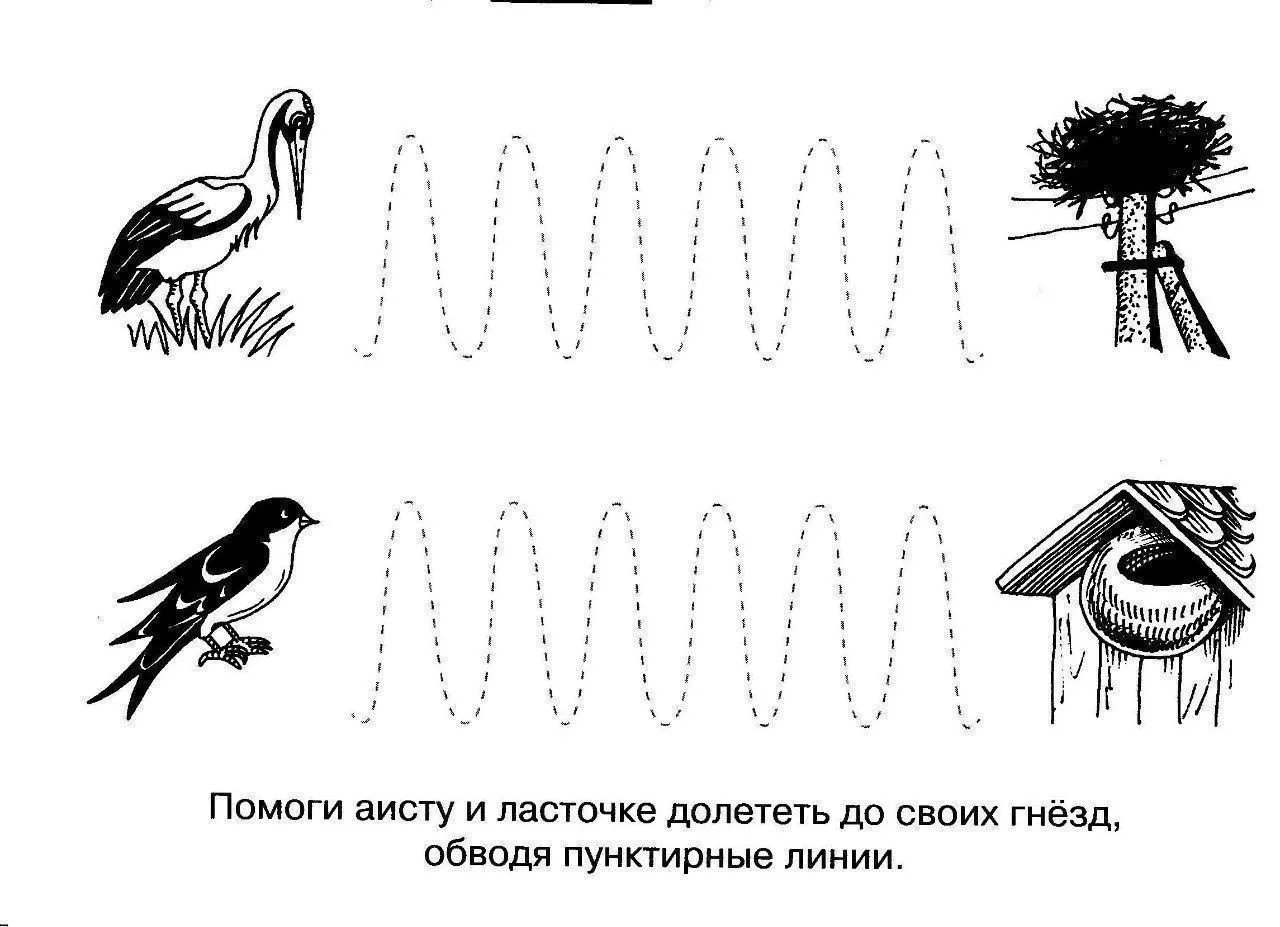 Готовим руку к письму ✍🏻