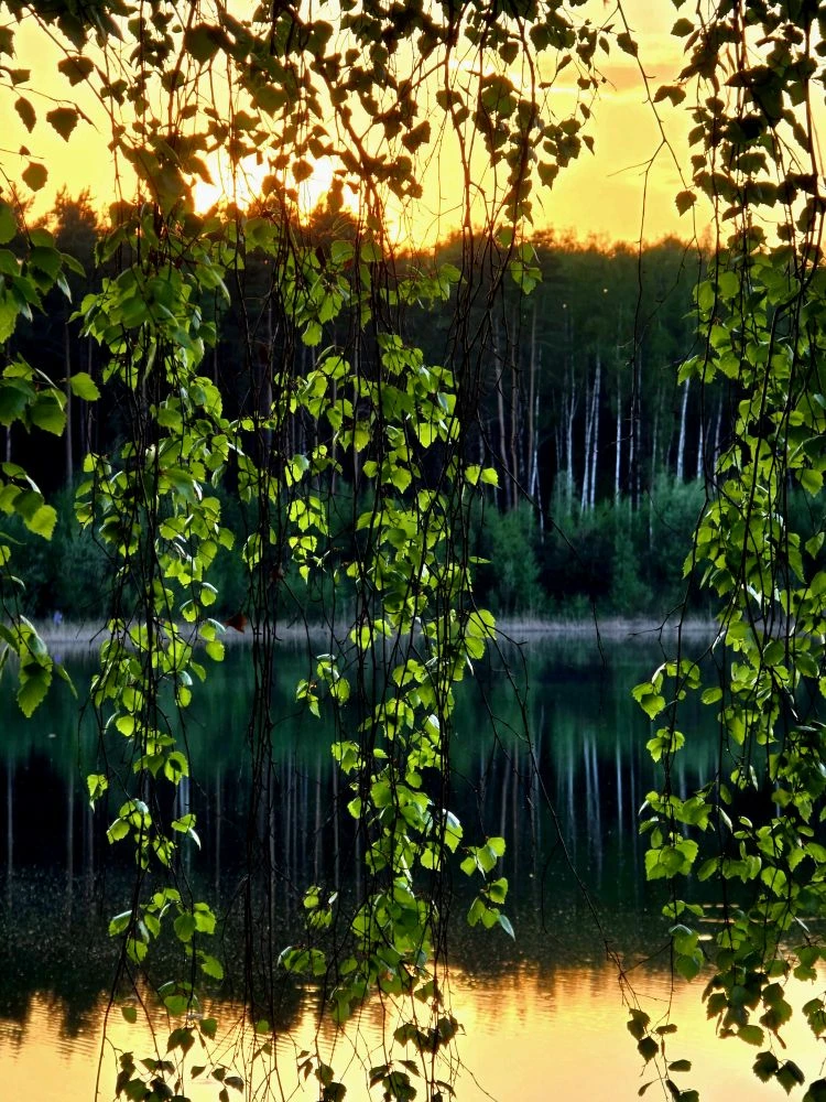 vk.ru/monino1love ✨