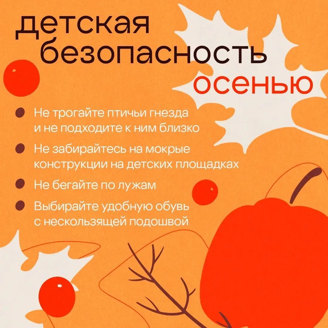 🍂 Осенью прогулки становятся особенно уютными, но переменчивая погода может добавить н...