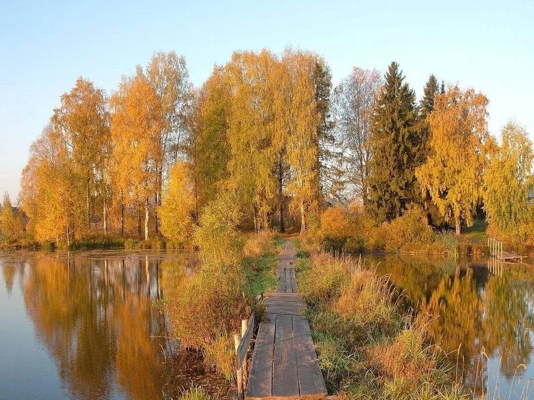 🌻 С добрым утром