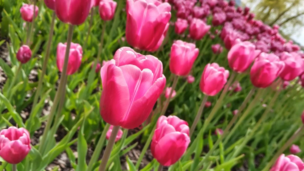 🌸 Эх весна, скоро лето!