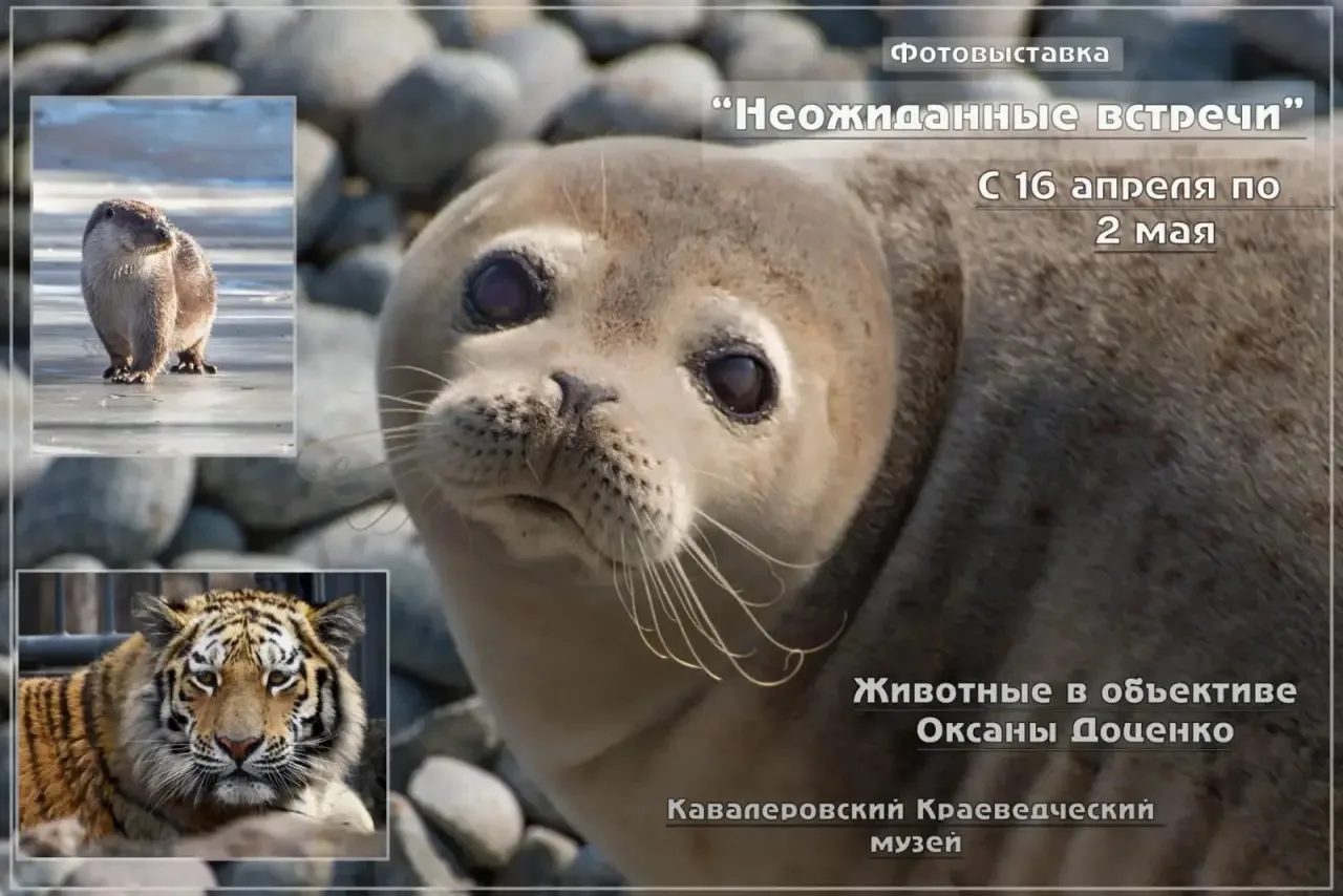 🌾 Фотовыставка «Неожиданные
