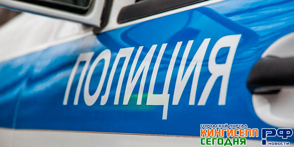 Житель Кингисеппского района угрожал представителю власти топором