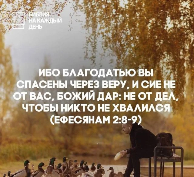 Ибо благодатью вы спасены через веру, и сие не от вас, Божий дар: не от дел, чтобы никто не хвалился