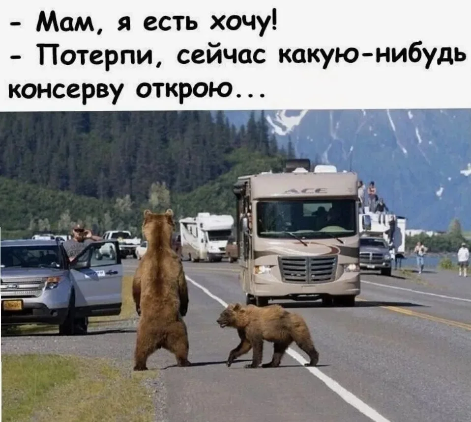 ☀️ Сс юмором по жизни!