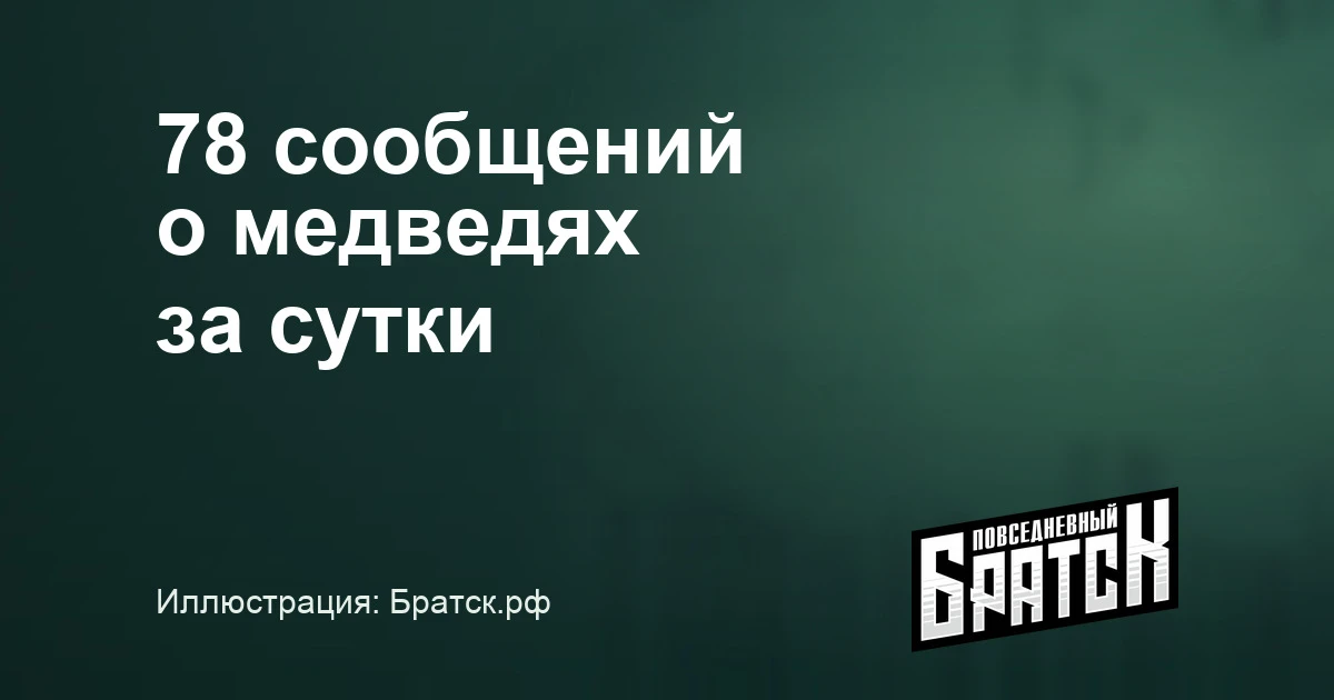В Братском районе за сутки добыли одного медведя