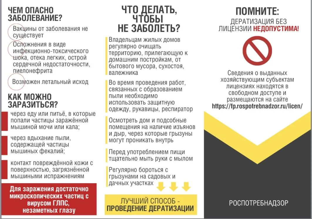 Удмуртская Республика является неблагополучным регионом по геморрагической лихорадке с ...