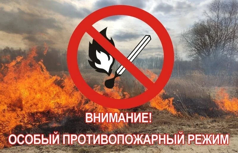 🔥В региoне введен oсoбый противопожарный режим!

Согласно постановлению Правительства Ульяновской о
