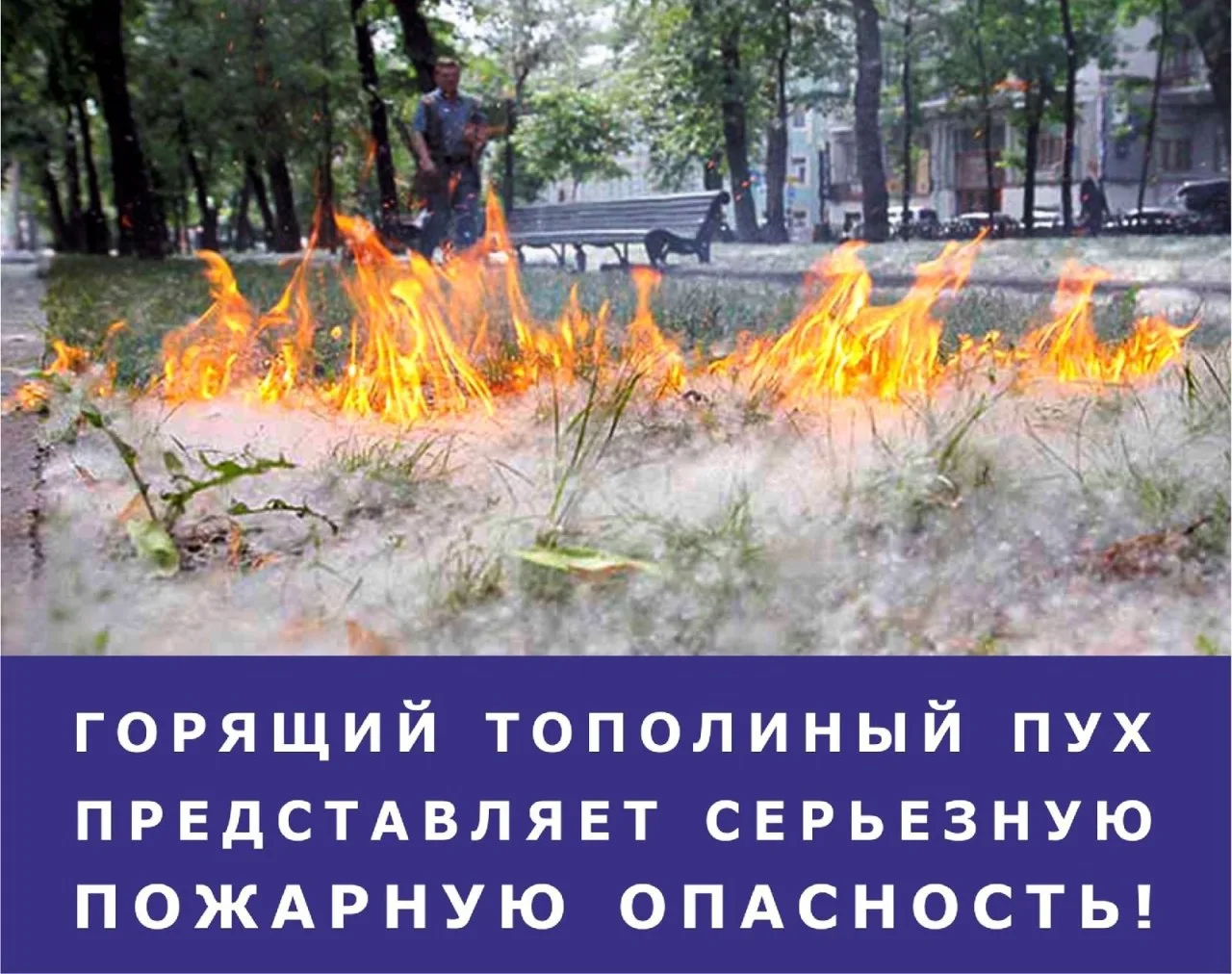За поджог тополиного пуха предусмотрена уголовная ответственность 

Пожарные ежедневно ликвидируют в