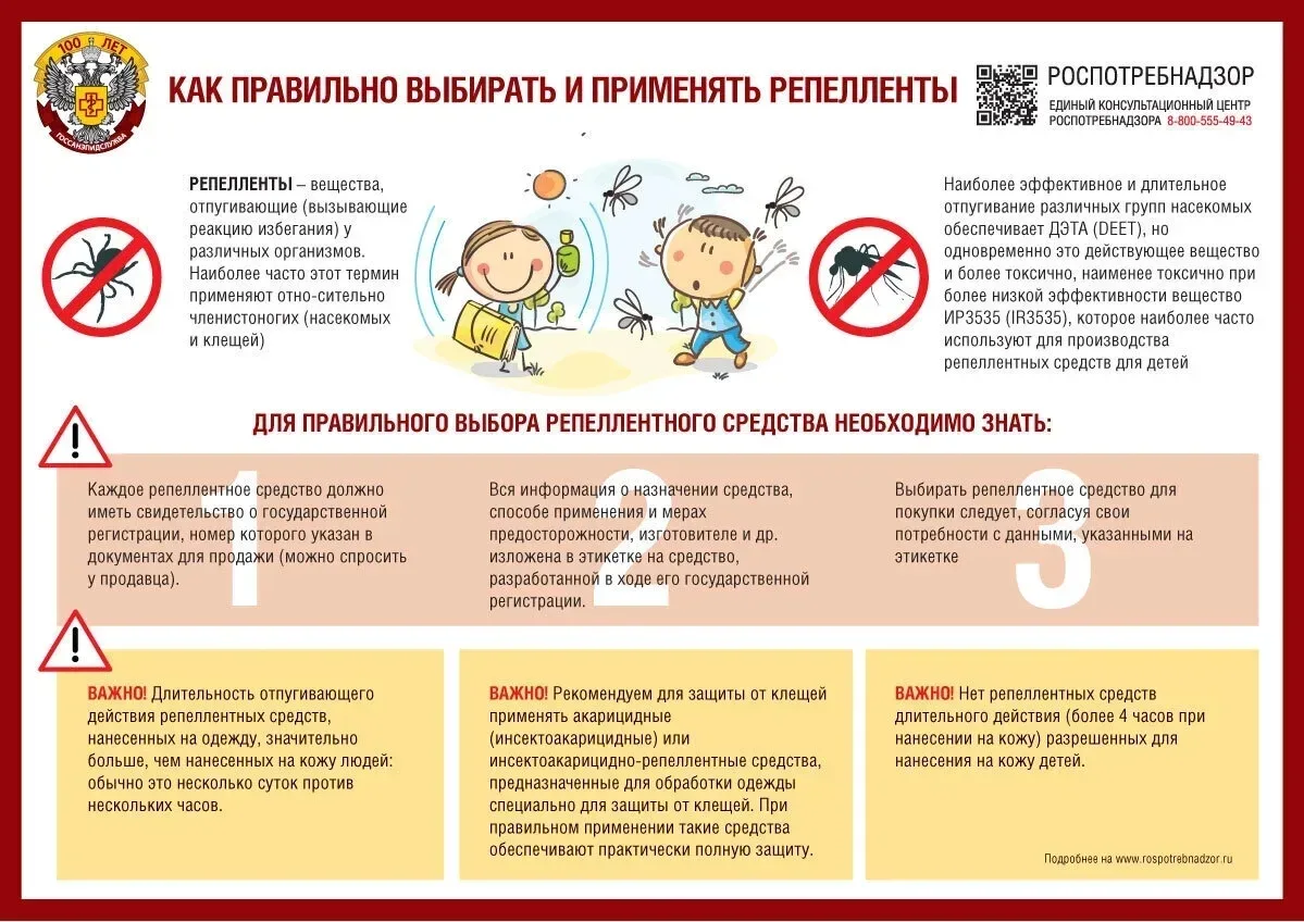 Лето💐 это время тёплого солнца ☀, ярких цветов, зелёной травы, а ещё время для насеком...