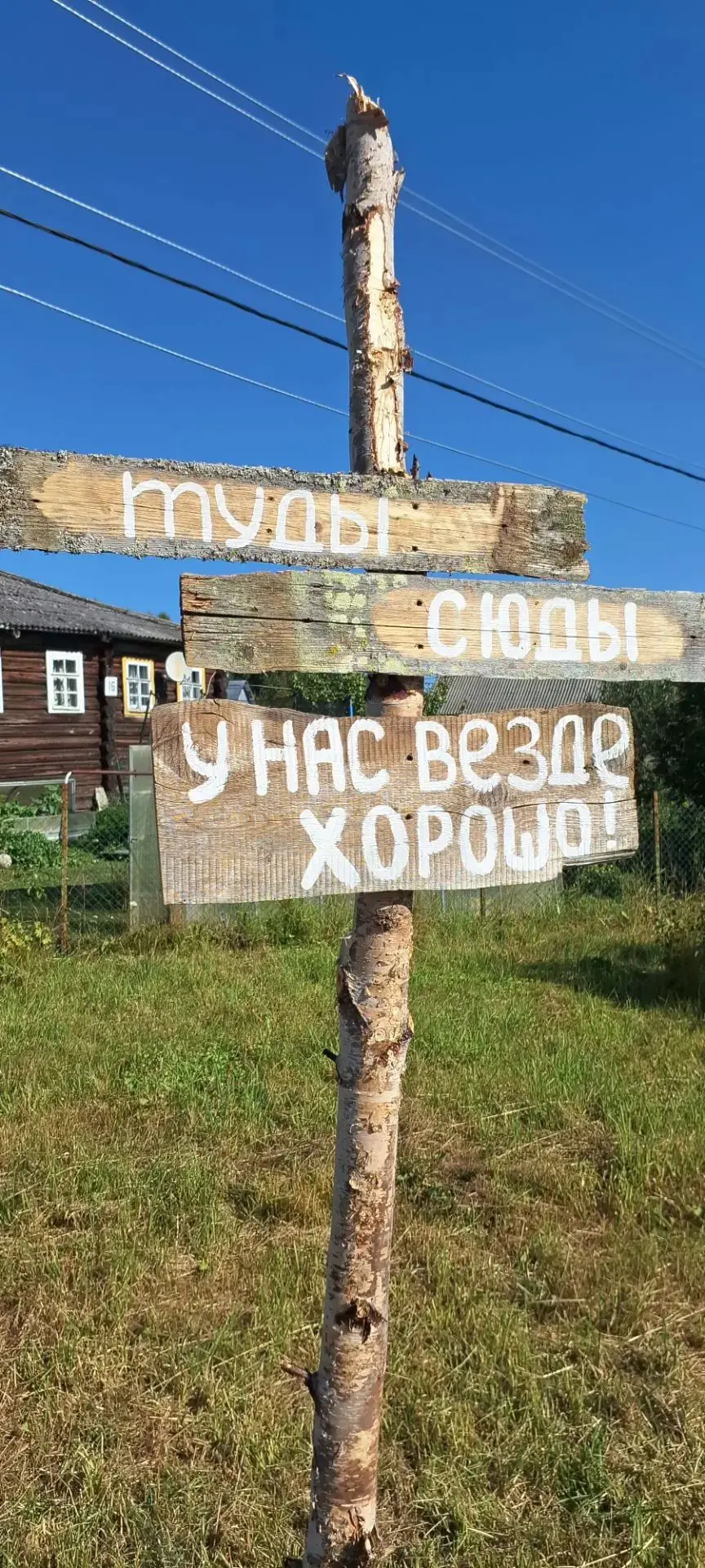 15.08. 2026 года запомнится надолго! Мы побывали на V фестивале «Лижма» — «Фестивале ус...