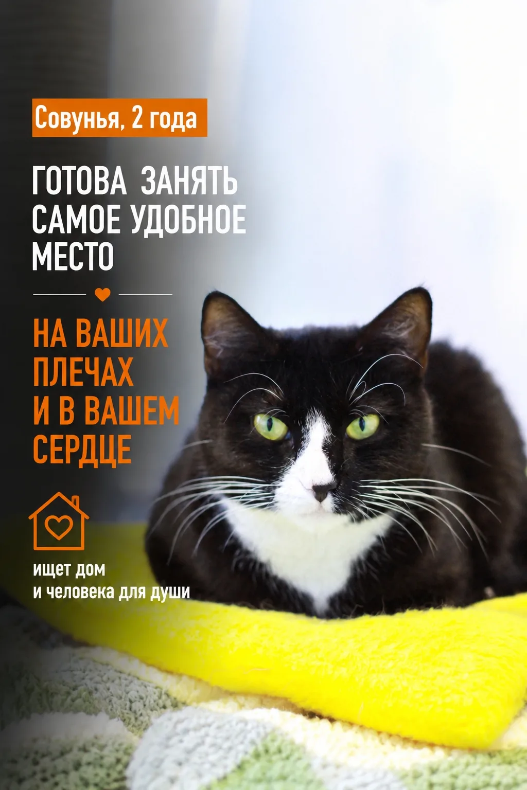 Вы думали, что совы живут только в лесу? А вот и нет! Наша Совунья обитает прямо в прию...