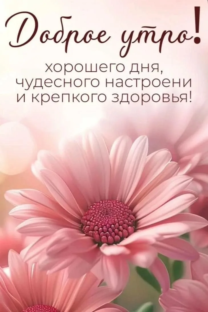 Поздравления для Настроения💌