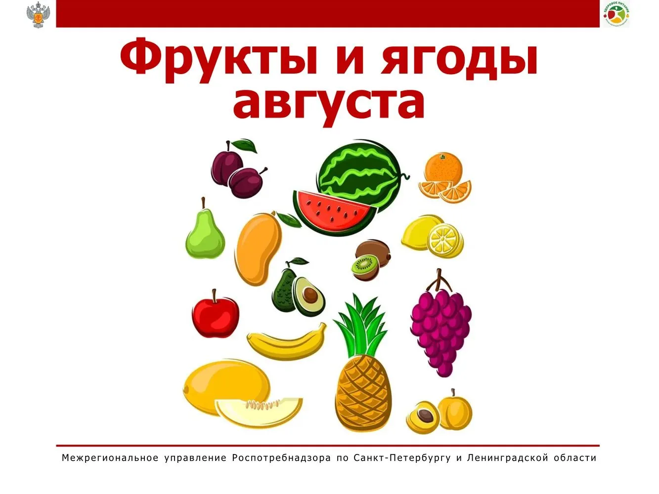 🍑 Фрукты и ягоды августа: витаминный десант последнего месяца лета!