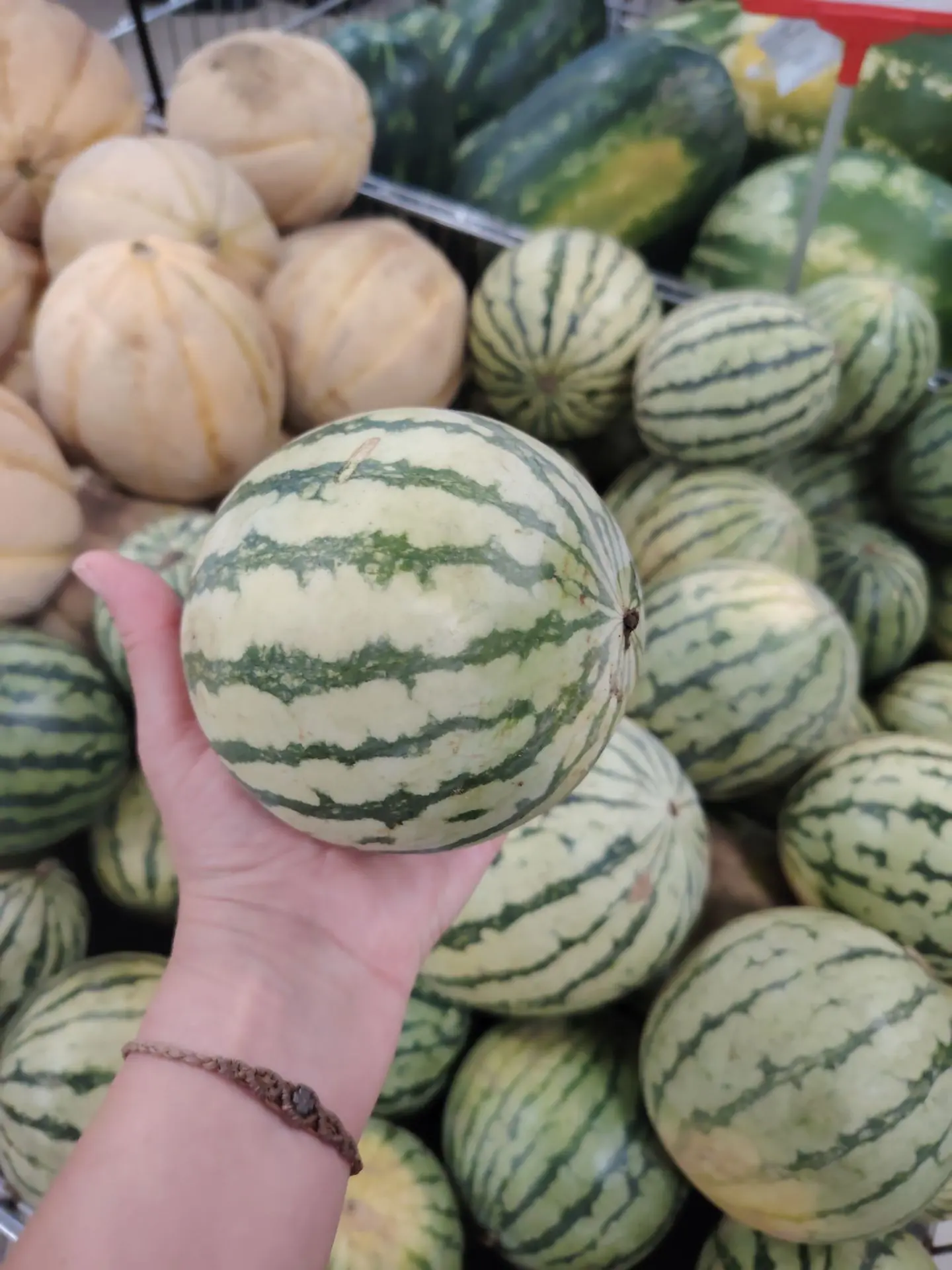 Местный "горошек", очень сладкий! Сорт мини арбузов Pepito