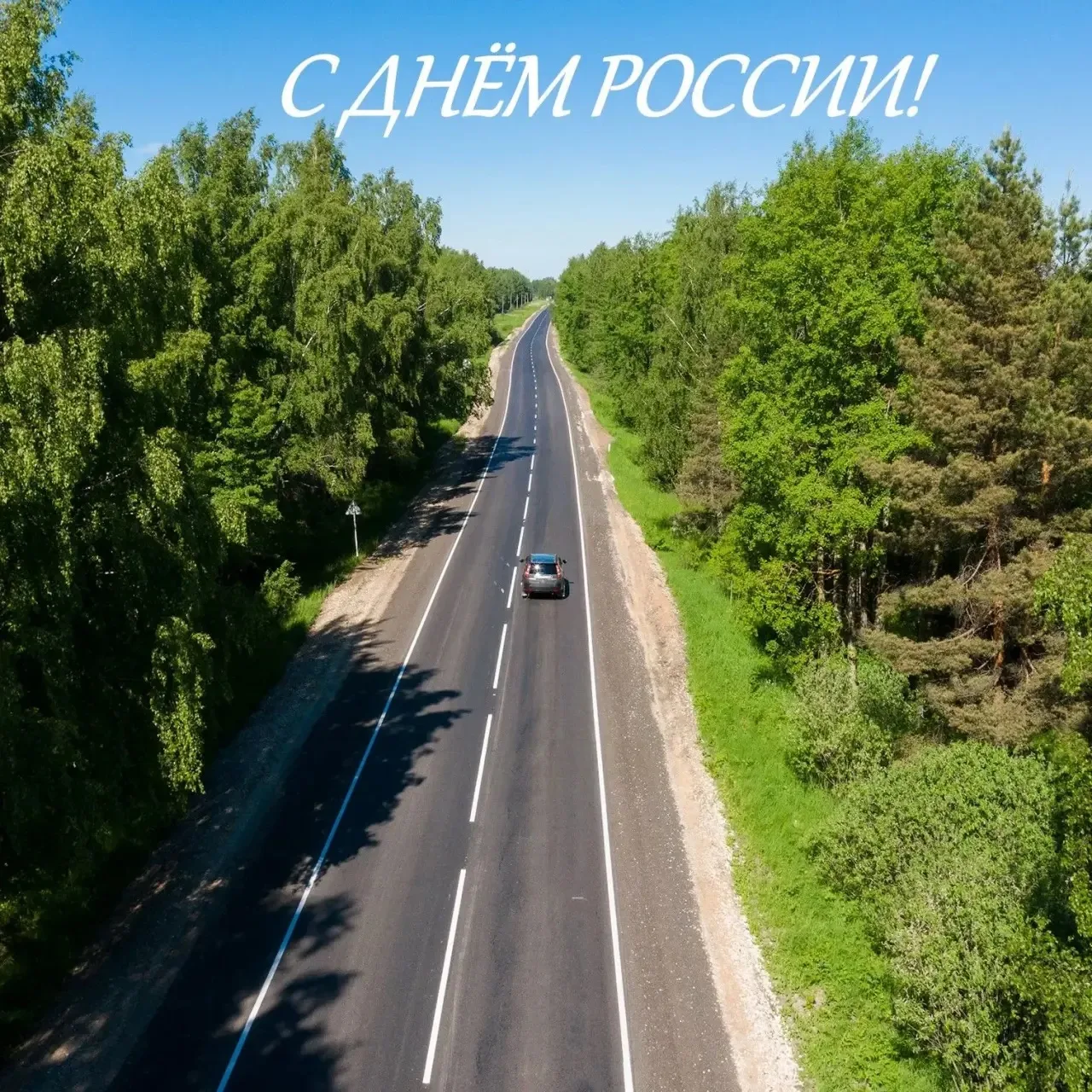 🇷🇺С Днём России, друзья!
 
Это особенная дата для миллионов россиян, объединённых любовью к родной