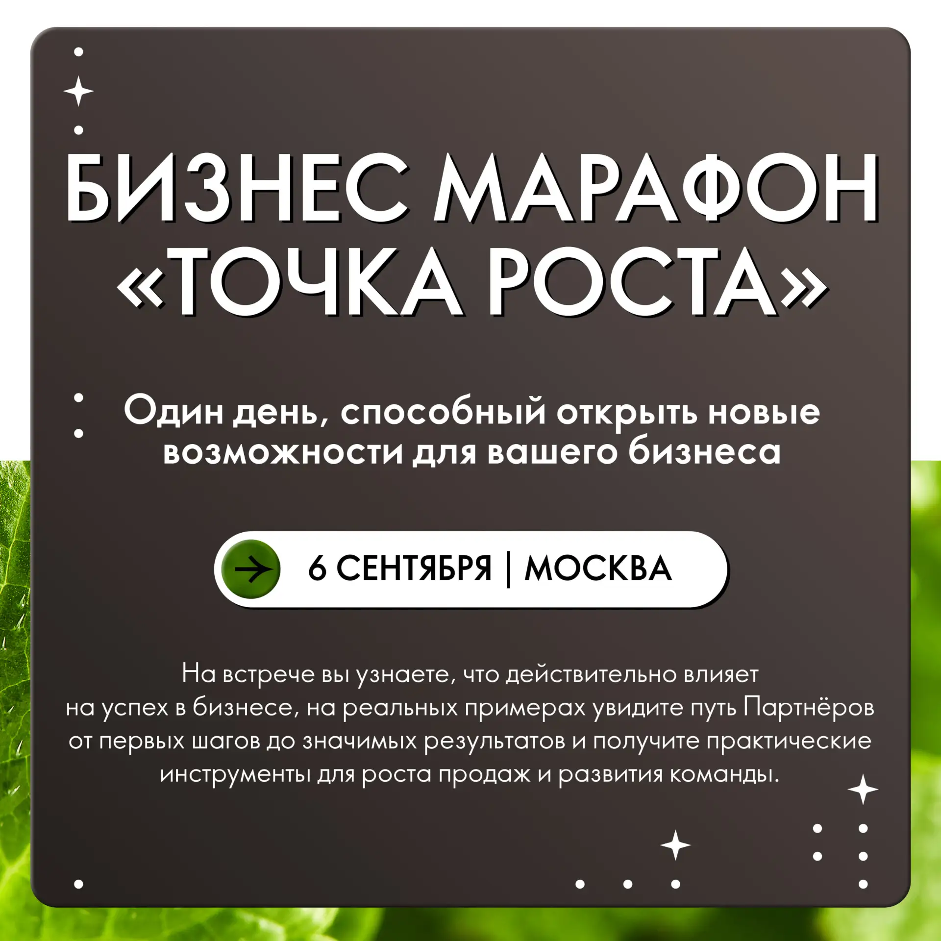 Дорогие Партнёры!
