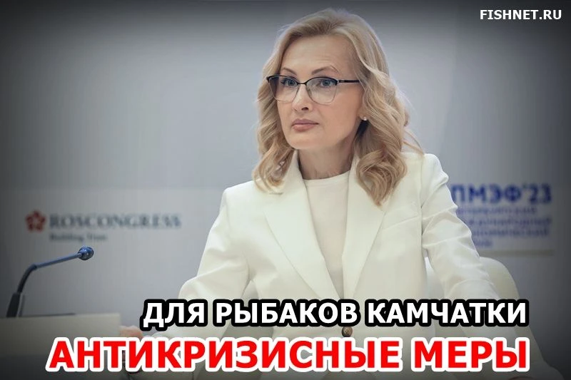 🐟 Ирина Яровая обратилась к Михаилу Мишустину в защиту рыбаков Камчатки