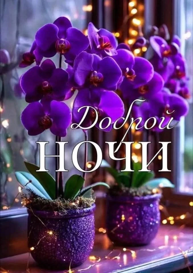 Поздравления на каждый день. Подписаться!