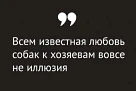 Однажды нейробиолог Грегори Бернс решил приучить свою собаку к процедуре МРТ. Это позволило ему иссл