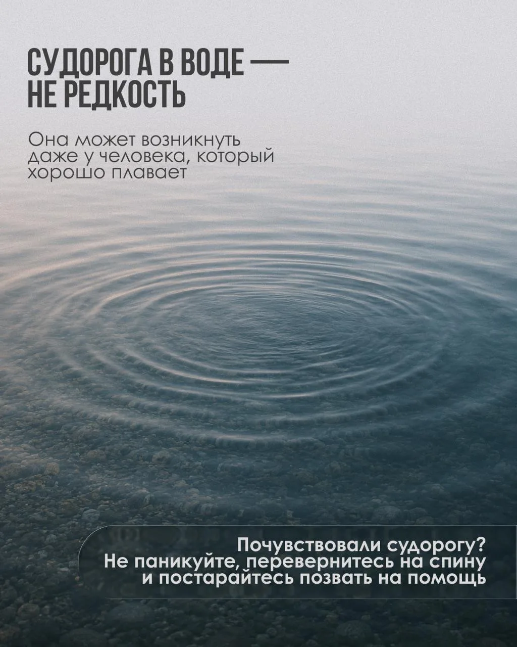 Изображение 4 к публикации «Минздрав Приморья»