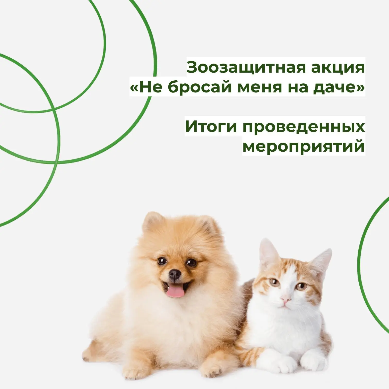 С 1 июня по 30 сентября проведена зоозащитная акция «Не бросай меня на даче»🍁